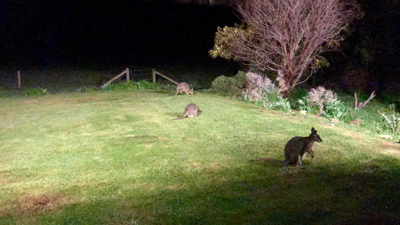 Bee'S Place - 3 Bedroom Home On 10 Acres Of Land With Distant Ocean Views Emu Bay Eksteriør billede