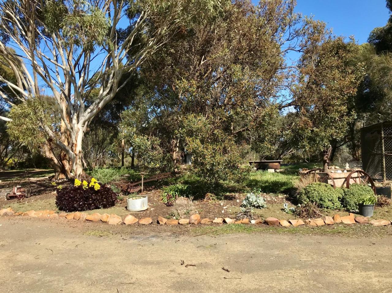 Bee'S Place - 3 Bedroom Home On 10 Acres Of Land With Distant Ocean Views Emu Bay Eksteriør billede